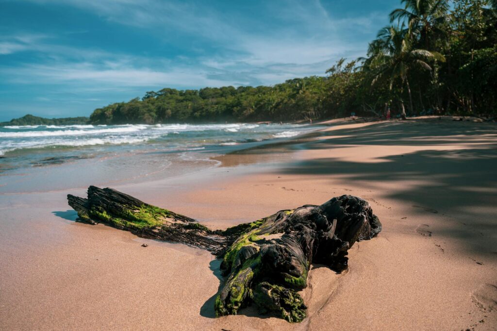 Costa Rica Clásica