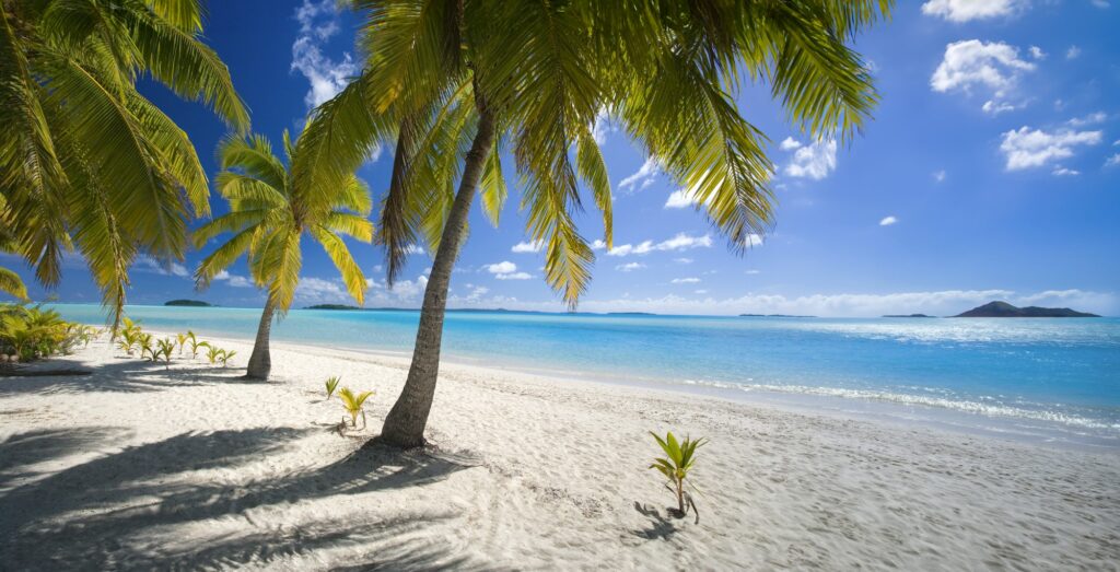 Tropical Beach - Cook Islands