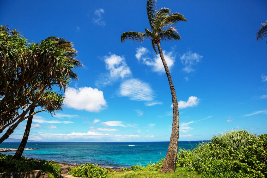 Hawaiian beach